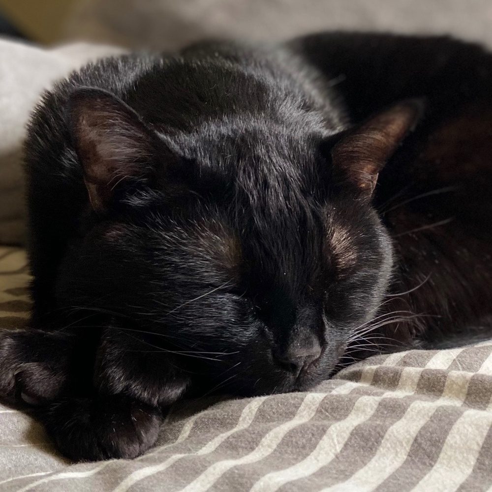 Meet your Posher, Colin